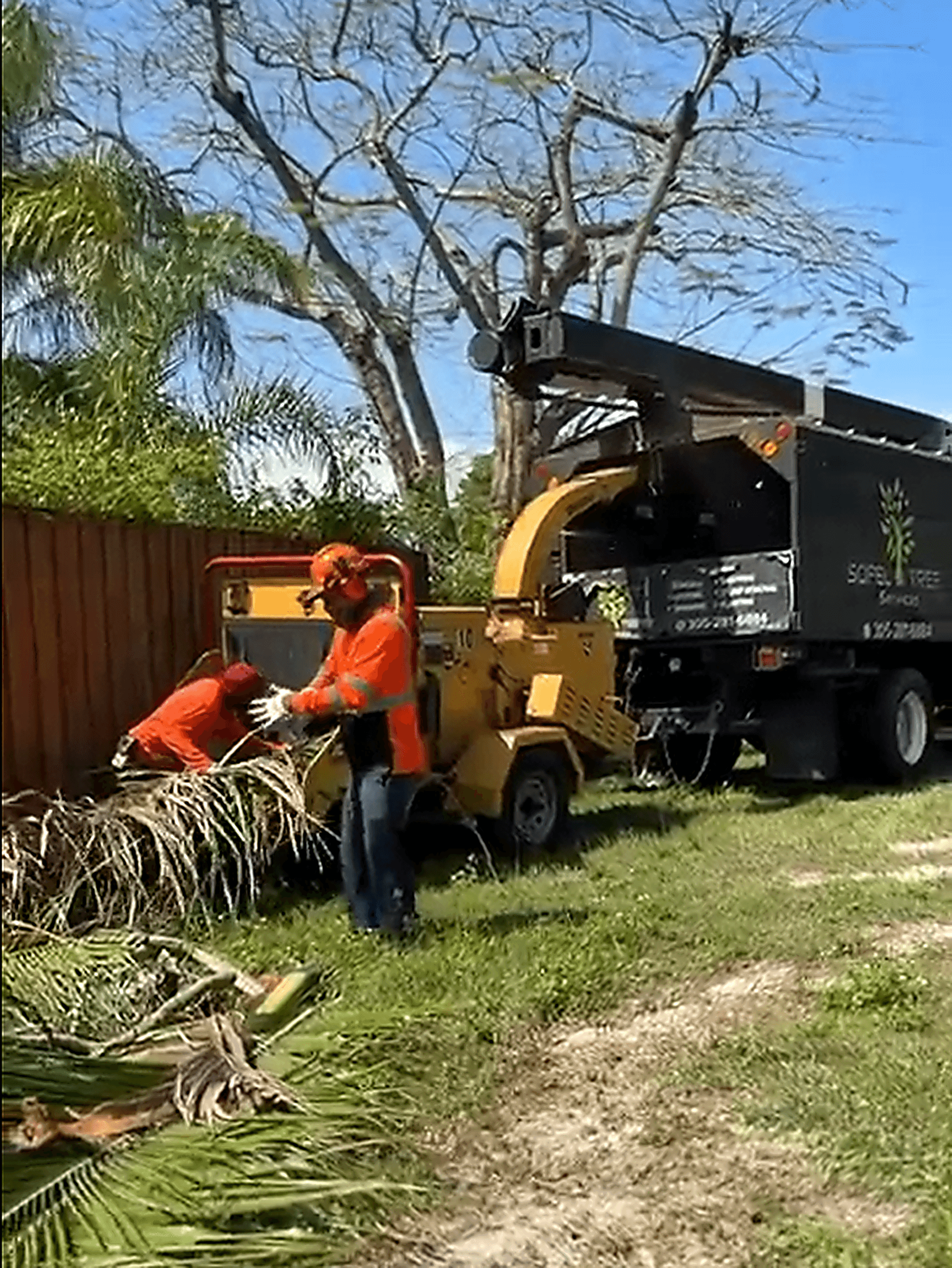 after_1779132047769_removing-debris.png