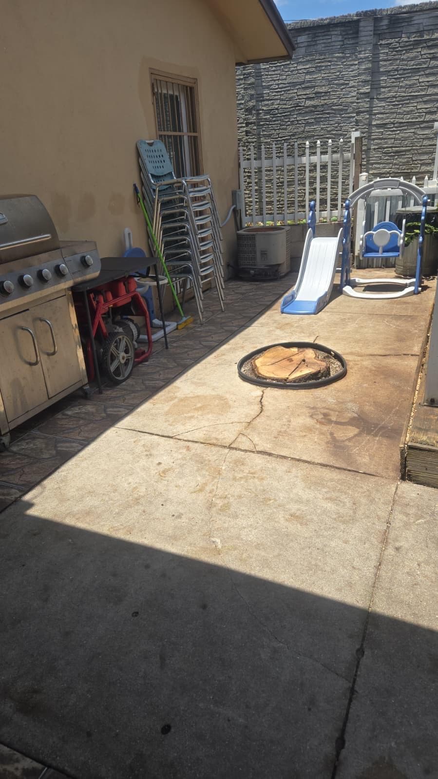 Mango Tree Removal